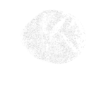 partner4.png